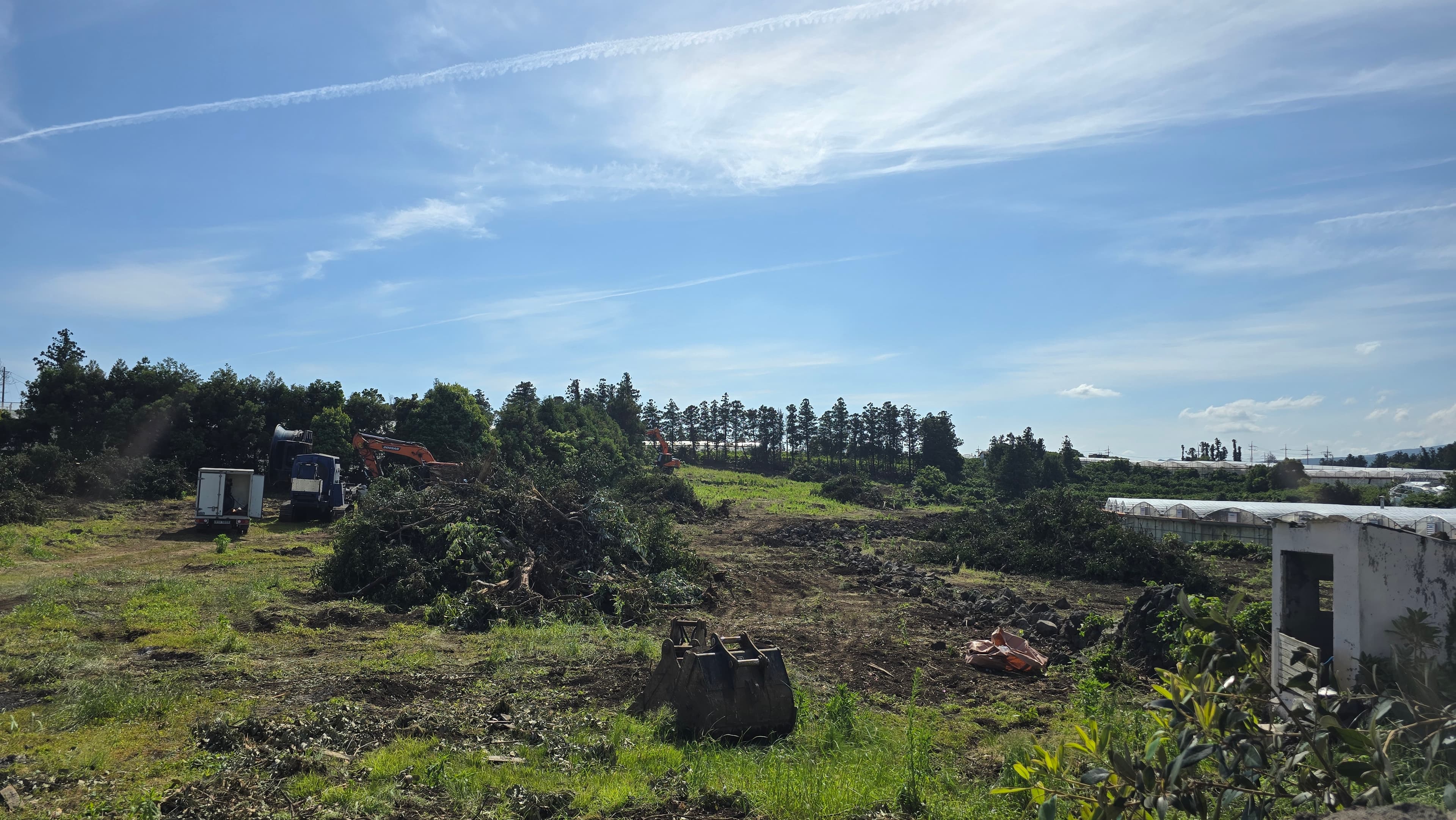 조경(밭정리) 작업 사진 2