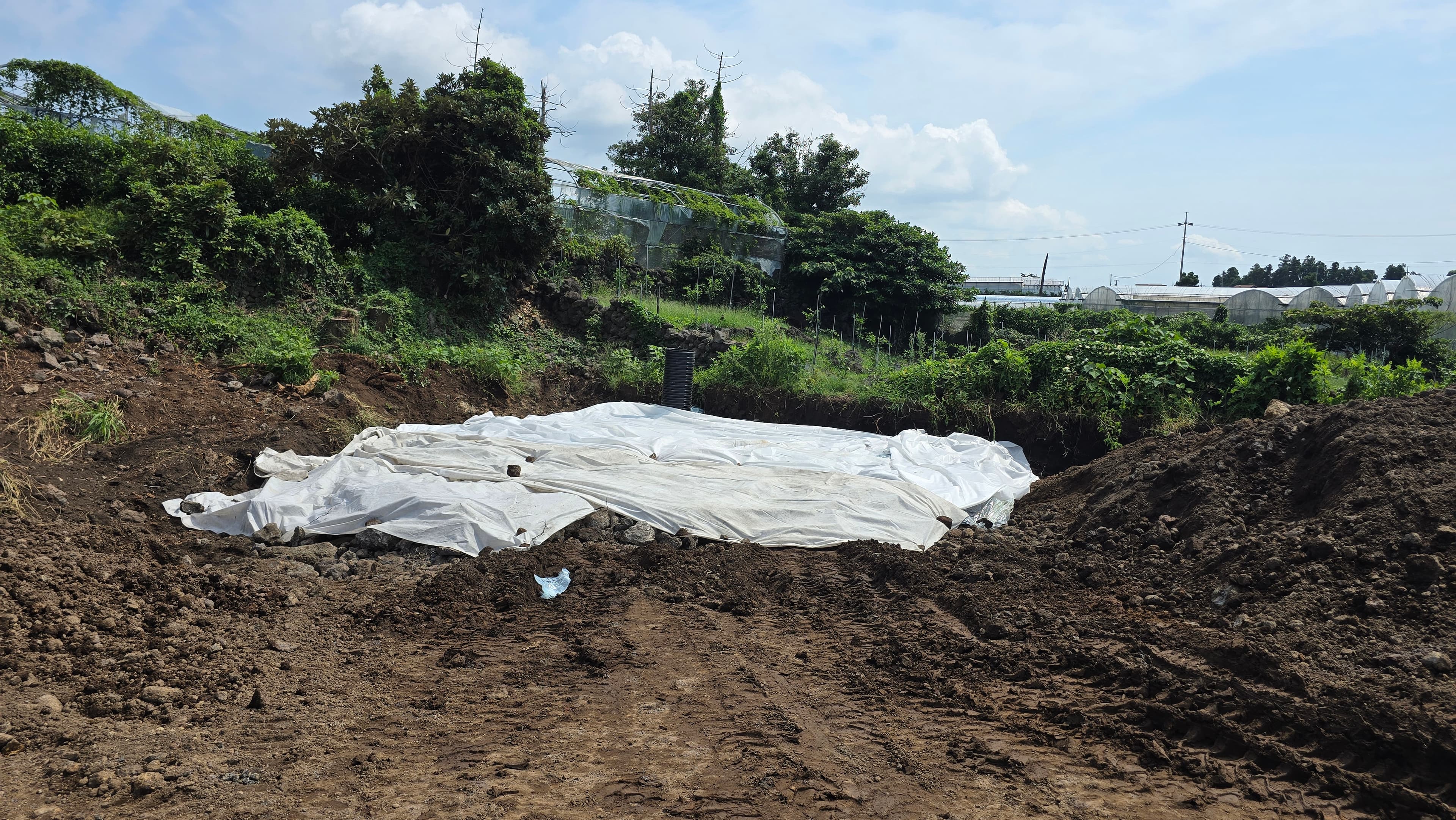 조경(밭정리) 작업 사진 4