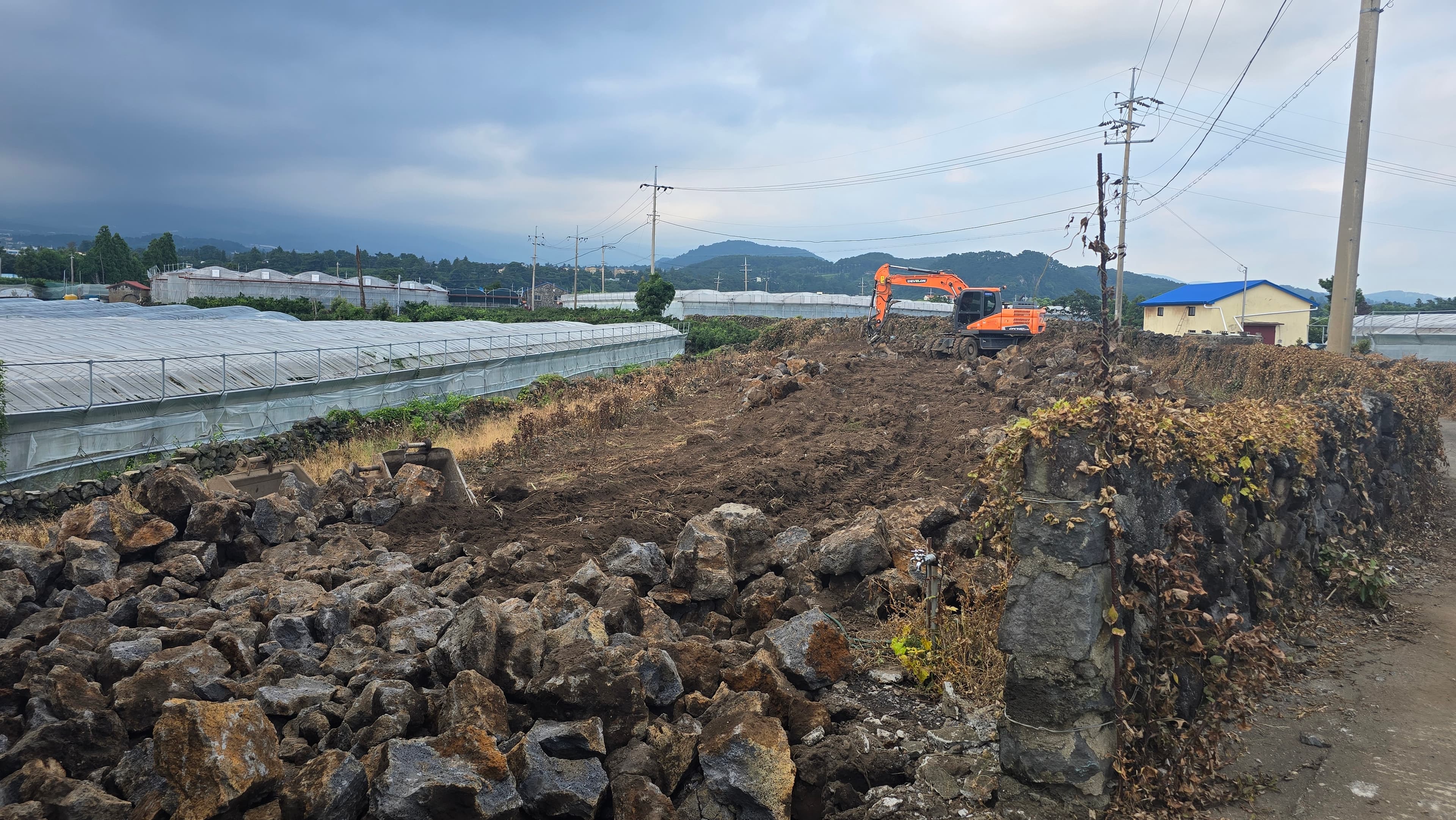 조경(밭정리) 작업 사진 5