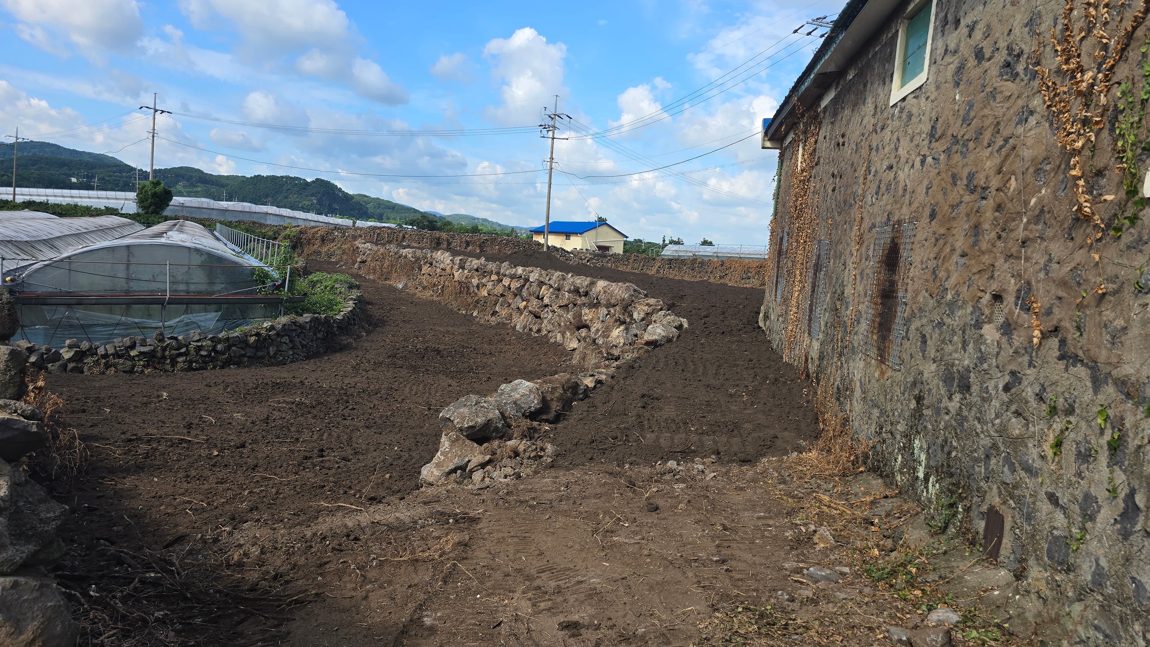 조경(밭정리) 작업 사진 6