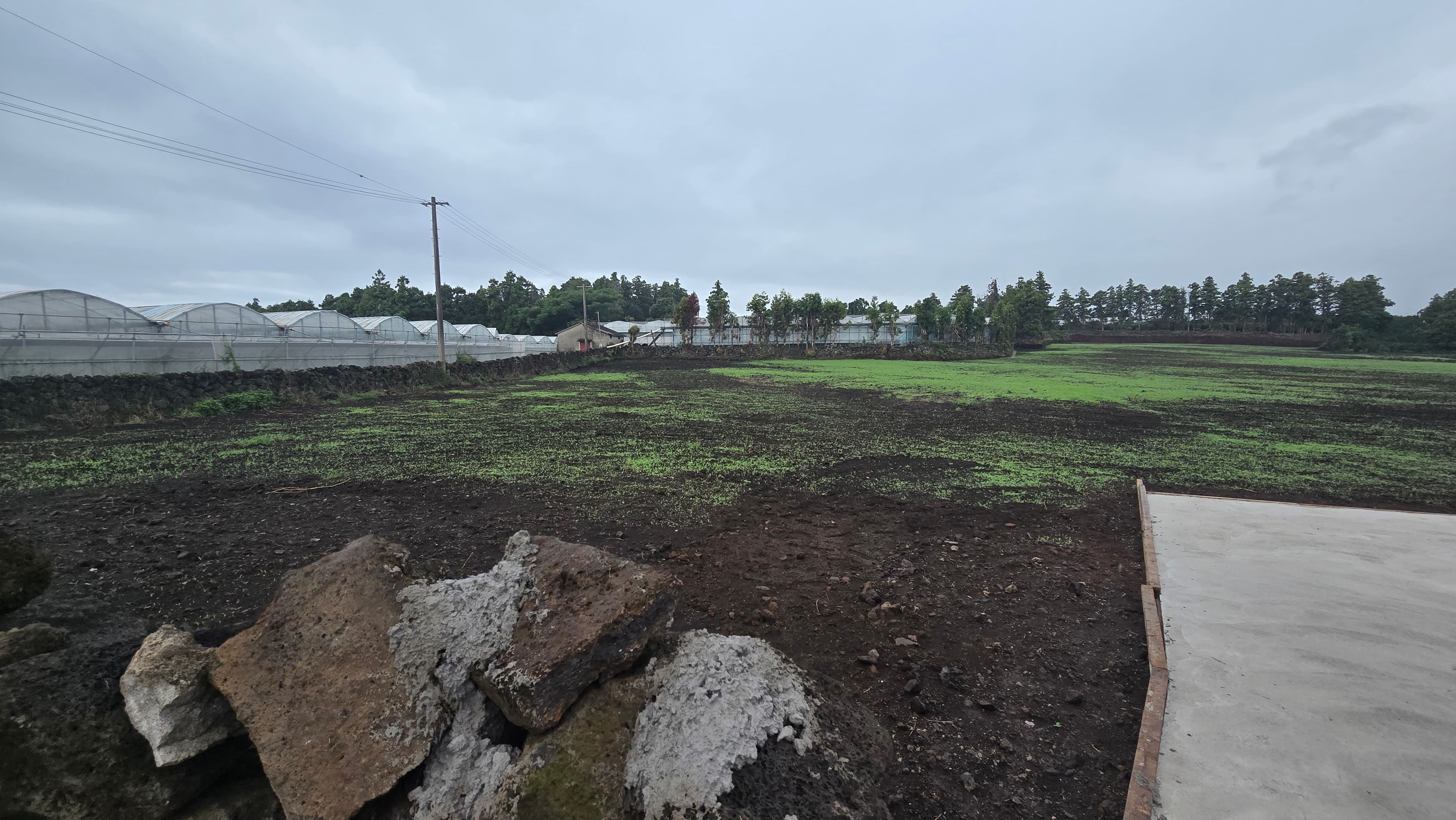 조경(밭정리) 작업 사진 7