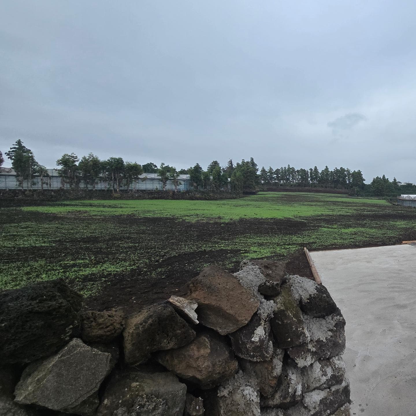 조경(밭정리) 작업 사진 8