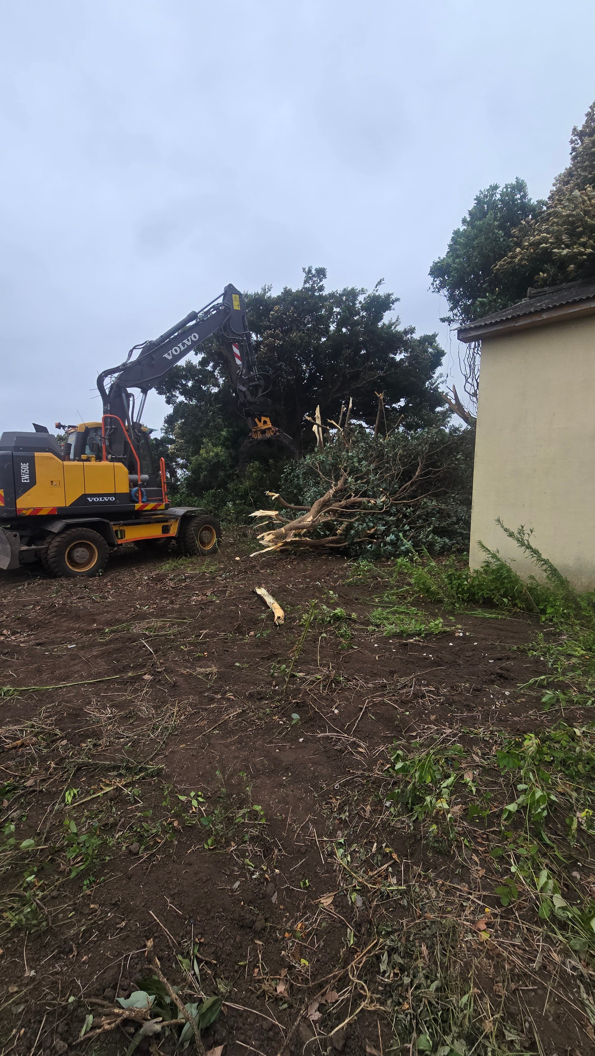 벌목 및 대형파쇄 작업 사진 2