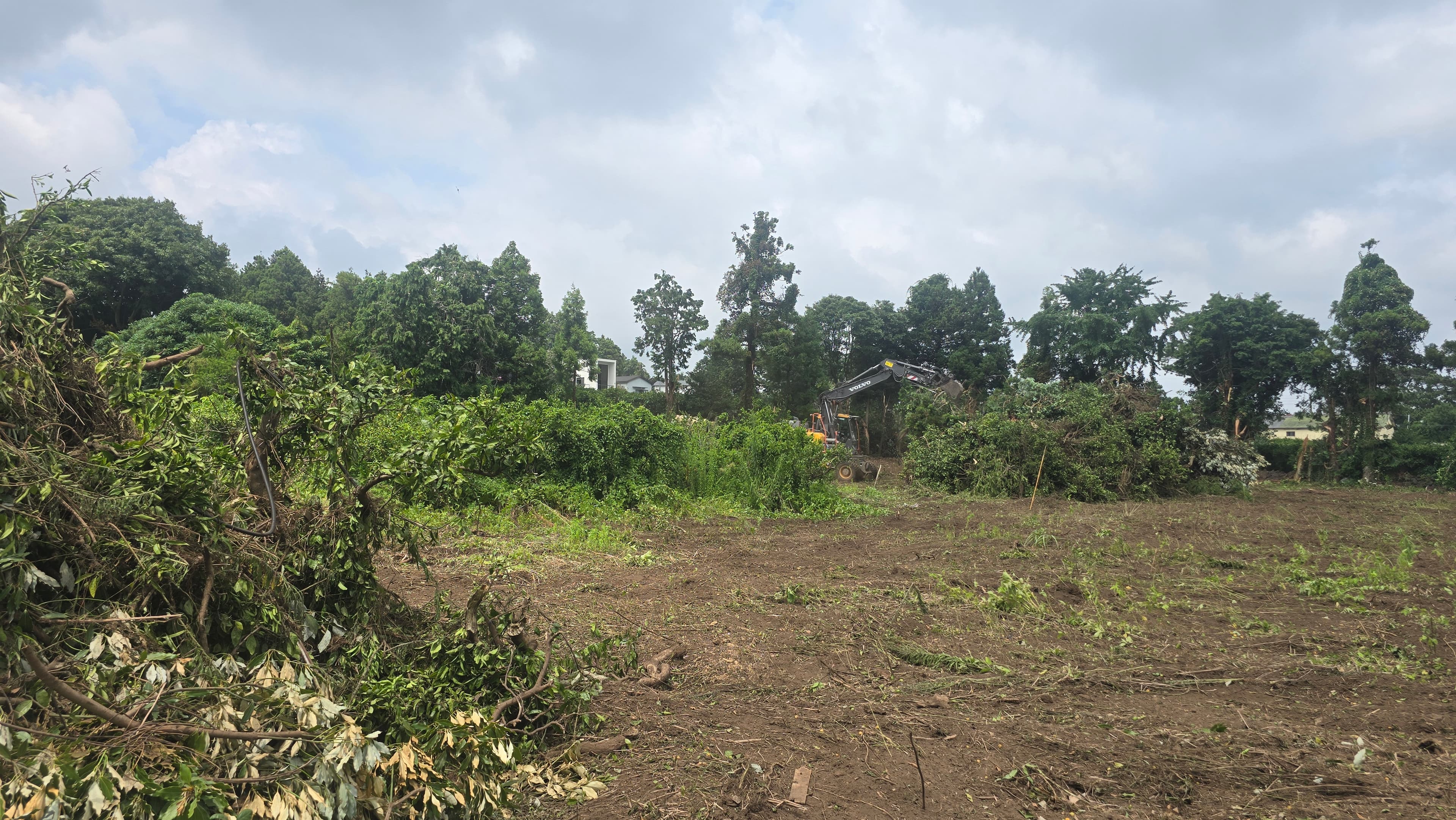 벌목 및 대형파쇄 작업 사진 3