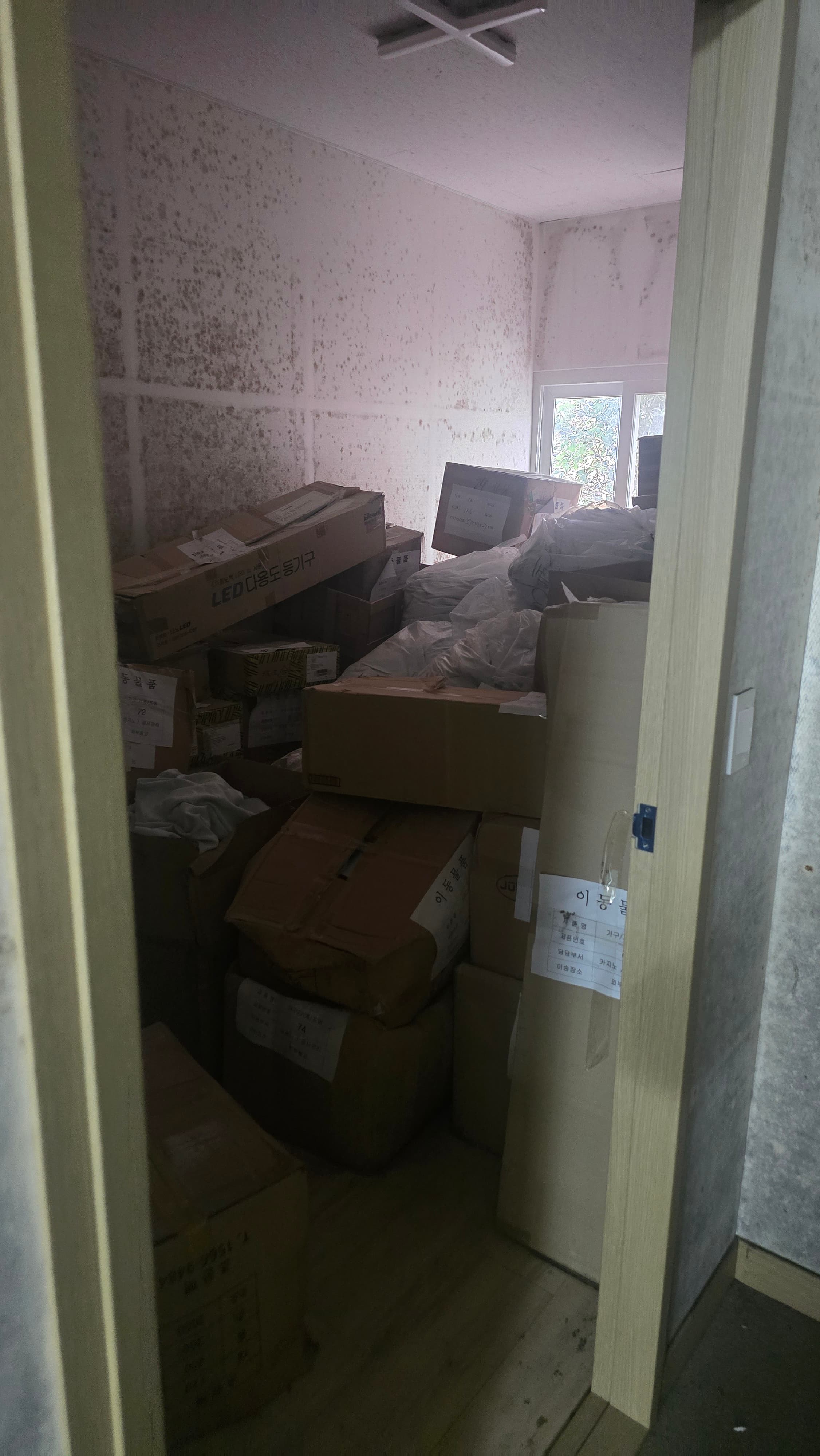 폐기물 정리 작업 사진 7